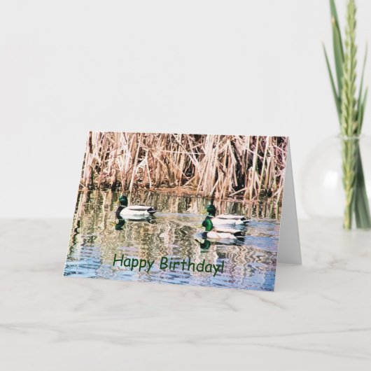 野生アヒル カード (正面)