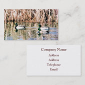 野生アヒル 名刺