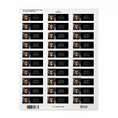 野生アートアフリカライオン ラベル (フルシート)