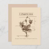 野生イチゴ植物ラテン語語源自然 ノートカード (正面/裏面)