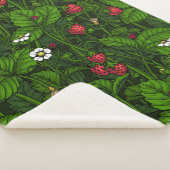 野生イチゴ シェルパブランケット (3/4)