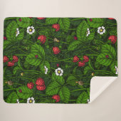 野生イチゴ シェルパブランケット (正面(横))