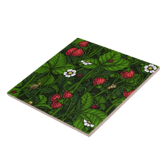 野生イチゴ タイル (側面)