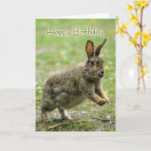 野生ウサギ付き誕生日カード カード (黄色い花)
