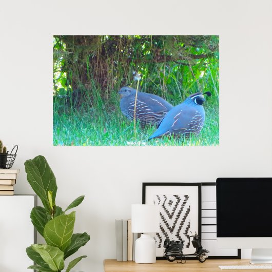 野生ウズラ ポスター (ホームオフィス)