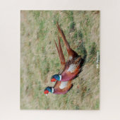 野生キジ ジグソーパズル (縦)