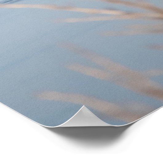 野生キジ ポスター (角)