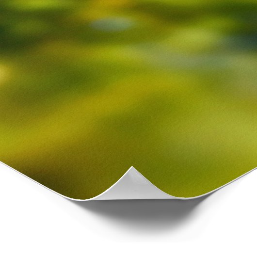 野生キジ ポスター (角)