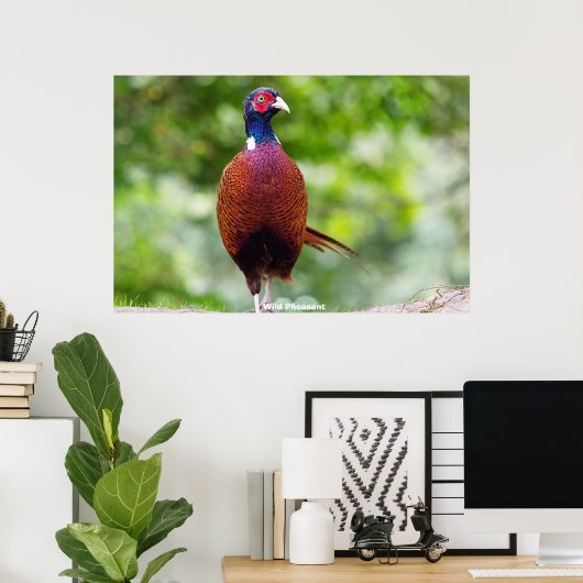 野生キジ ポスター (ホームオフィス)