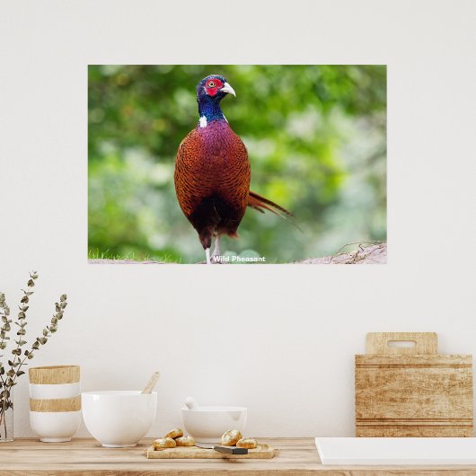 野生キジ ポスター (キッチン)