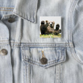 野生クマ 缶バッジ (インサイチュ)