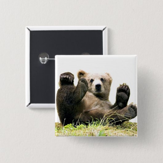 野生クマ 缶バッジ (正面&裏面)