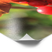 野生クランベリー フォトプリント            (角)