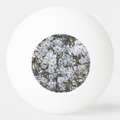 野生クレマチス 卓球ボール (正面)