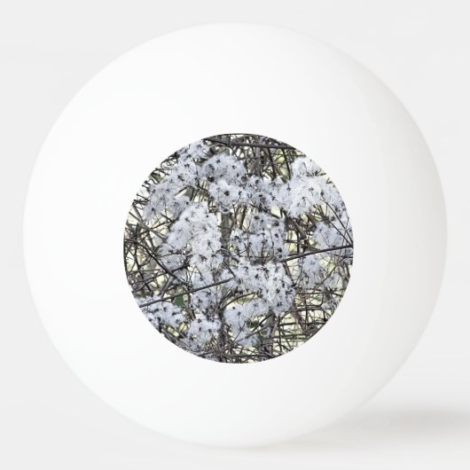 野生クレマチス 卓球ボール (裏面)