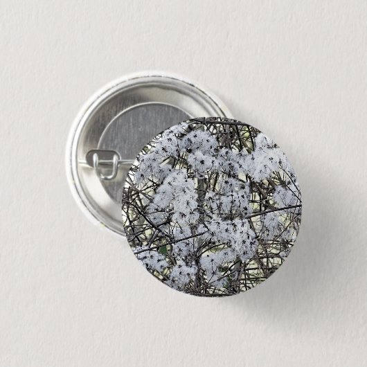 野生クレマチス 缶バッジ (正面&裏面)