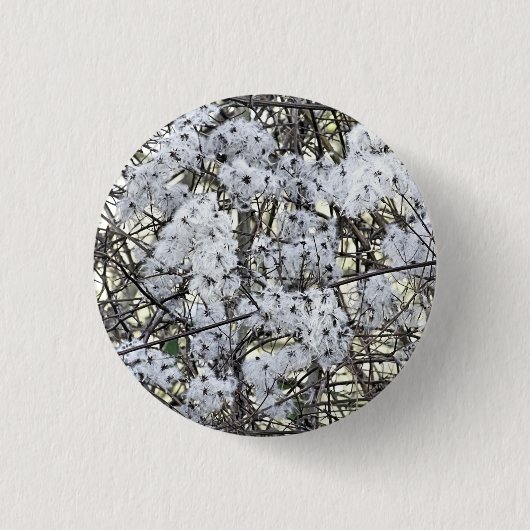 野生クレマチス 缶バッジ (正面)