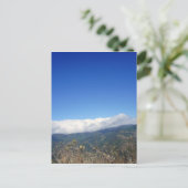 野生コスタリカ ポストカード (スタンド正面)