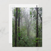 野生コスタリカ ポストカード (正面/裏面)