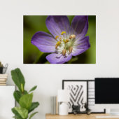 野生ゼラニウム ポスター (ホームオフィス)