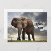 野生ゾウの写真に感謝 ポストカード (正面/裏面)