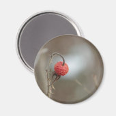 野生バラ果実磁石 マグネット (正面/裏面)