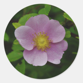 野生ピンクのバラ ラウンドシール