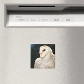 野生フクロウのクローズアップ マグネット (インサイチュ (食洗機))