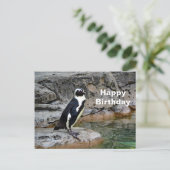野生ペンギンの写真の誕生日 ポストカード (スタンド正面)
