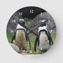 野生ペンギンペア写真