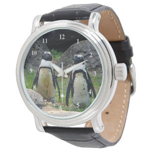 野生ペンギンペア写真 腕時計
