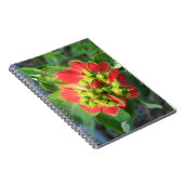 野生ポインセチア ノートブック (右側)