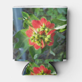 野生ポインセチア 缶クーラー