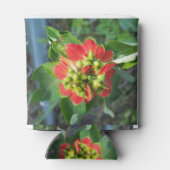 野生ポインセチア 缶クーラー (裏面)