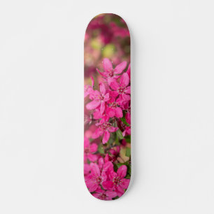 野生リンゴの開花 スケートボード