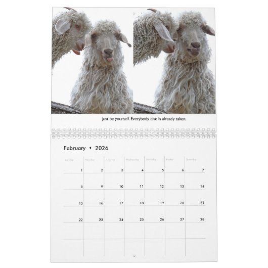 野生動感動的物暦 カレンダー (2月 2026)