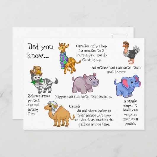 野生動物のおもしろい ポストカード (正面/裏面)