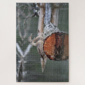 野生動物のアヒルの写真 ジグソーパズル (縦)