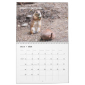 野生動物のウォールカレンダーを見る カレンダー (3月 2026)