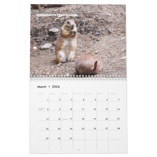 野生動物のウォールカレンダーを見る カレンダー (3月 2026)
