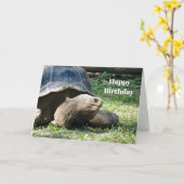 野生動物のカメの写真誕生日 カード (黄色い花)