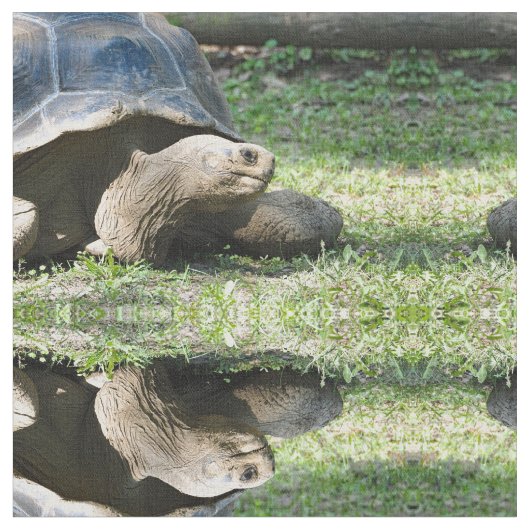 野生動物のカメの写真 ファブリック (クローズアップ)