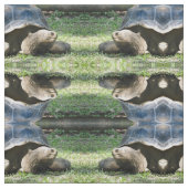野生動物のカメの写真 ファブリック (見本)