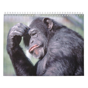 野生動物のカレンダー2012年 カレンダー