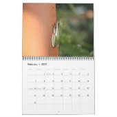 野生動物のカレンダー カレンダー (2月 2027)