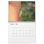 野生動物のカレンダー カレンダー (2月 2026)