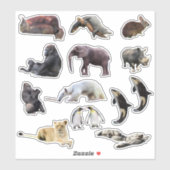 野生動物のキスカットのビニールのシール シール (シート)