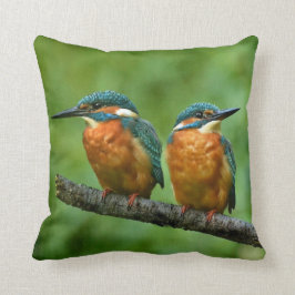 野生動物のキングフィッシャーの写真 クッション