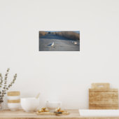 野生動物のドライブのカモメのポスター ポスター (キッチン)