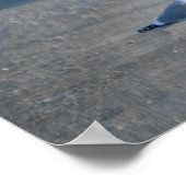 野生動物のドライブのカモメのポスター ポスター (角)